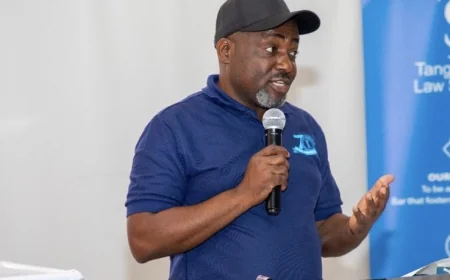 Tanzanian lawyers outraged with treatment of Kenyan, Uganda, activists