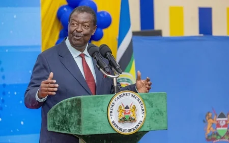 Mudavadi responds after uproar on Tanzania treatment of Kenyans