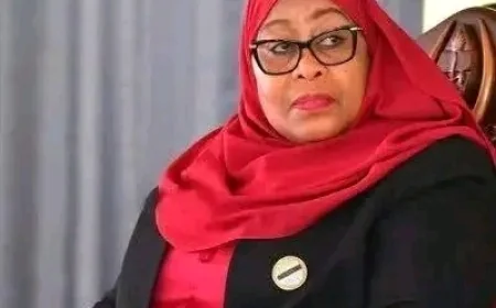 Naomba mlinde taifa lenu: Samia Suluhu tells gov't officials over 'outsiders'