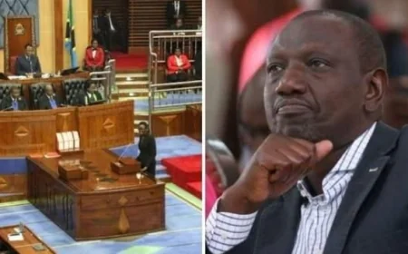 Tanzania MPs Urge Ruto to Crack Whip on Kenyans Disrespecting Samia Suluhu