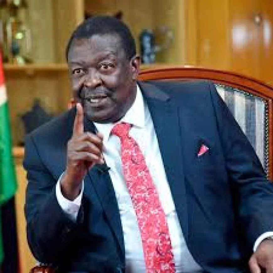 Mudavadi: Further delays to reconstitute IEBC will jeopardise country