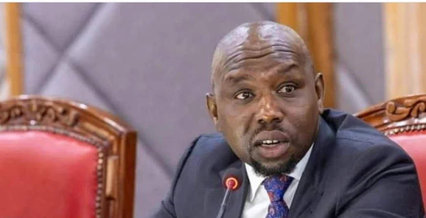Senator Cherargei, MP Wamuchomba call for CS Murkomen's resignation