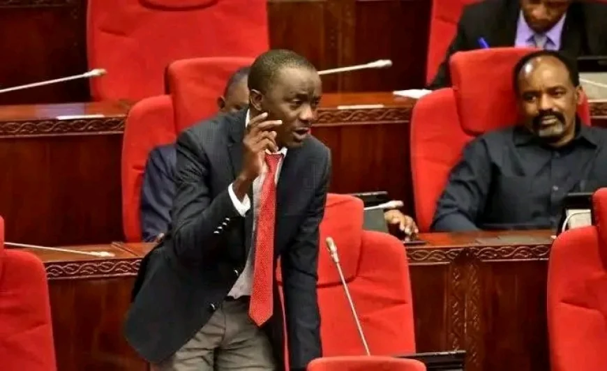 Exposed: Tanzanian MP Masukuma, Who Said They Have More Brains Than Kenyans, Is A Class 7 Dropout