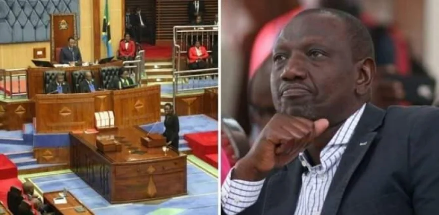 Tanzania MPs Urge Ruto to Crack Whip on Kenyans Disrespecting Samia Suluhu