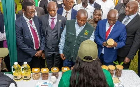 Win for Muguka farmers after controversial Bill dropped