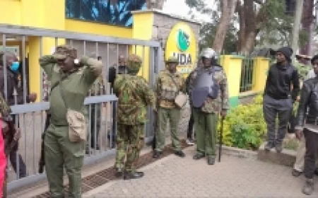 Cracking the whip: UDA summons two MCAs over alleged links to Gachagua's DCP