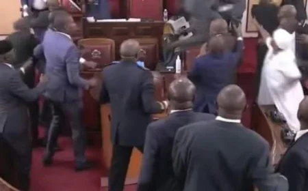 Machakos MCAs Clash, Exchange Blows Over Leadership Shake-Up