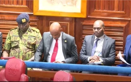 Fireworks as Murkomen, Kanja and Amin face Senators over Ojwang's death