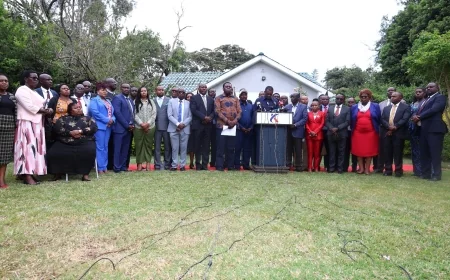 June 25 will be People’s Public Holiday, opposition insists