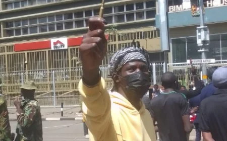 Police use live bullets to disperse protesters in Nairobi CBD