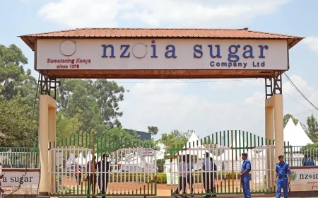 "THE FALL OF GIANT" NZOIA SUGAR COMPANY