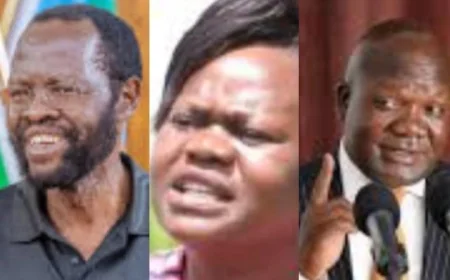 No chaos: Governors laud residents for peace amid demos