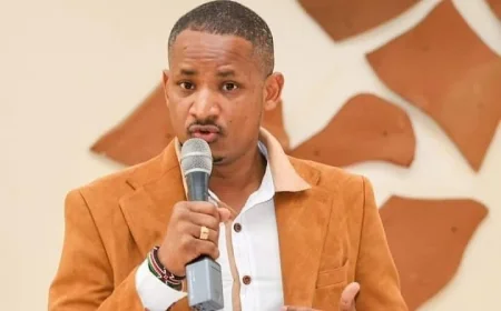 State has withdrawn my security, Babu Owino claims