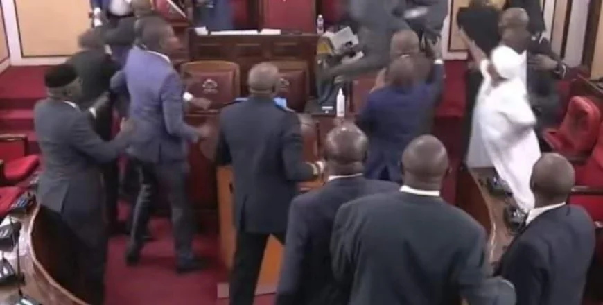 Machakos MCAs Clash, Exchange Blows Over Leadership Shake-Up