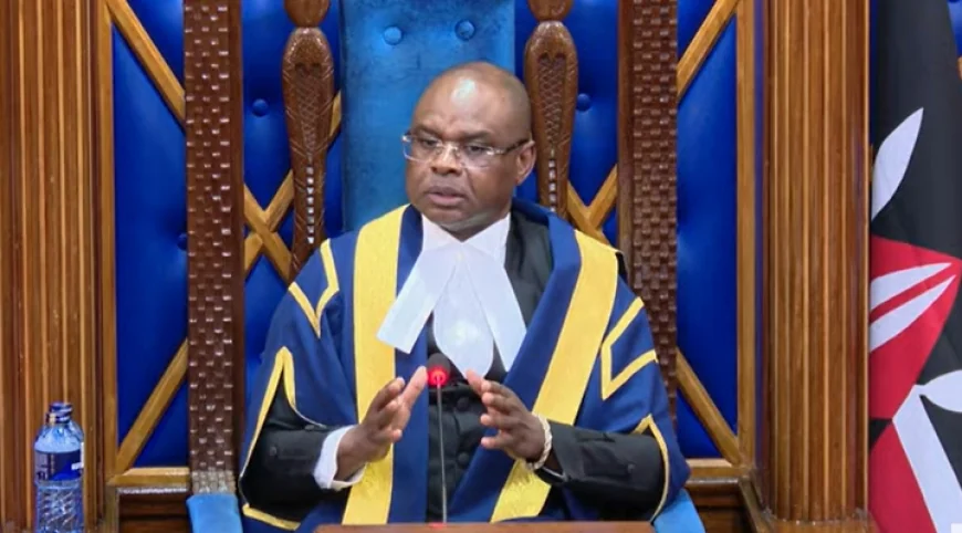 We're not here for TikTok bites - Kingi lashes out at Senators