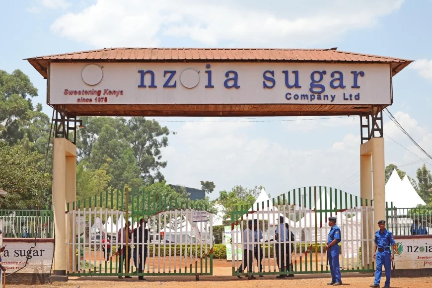 "THE FALL OF GIANT" NZOIA SUGAR COMPANY