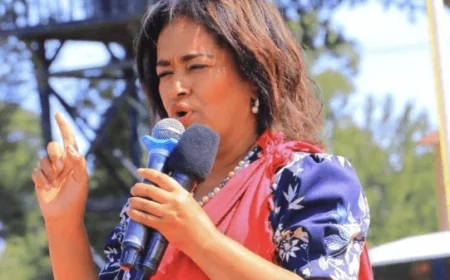 Passaris backs safe abortion in cases of unwanted pregnancies