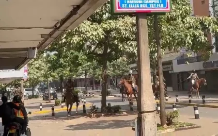 Security heightened in CBD as police intensify patrols on horses