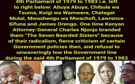 Background To Saba Saba – The story of an on-going iconic struggle.