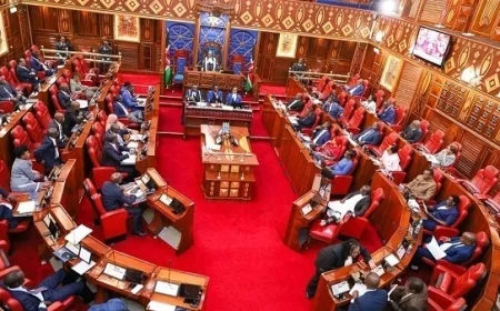 Battery of lawyers representing Guyo, MCAs in Senate impeachment trial