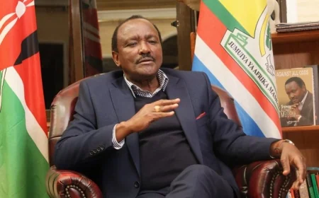 Kalonzo to Ruto: We are not interested in a coup