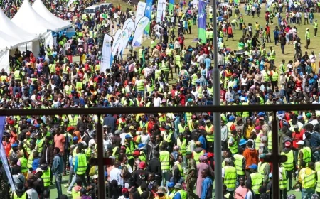 Climate Worx expands as 25,000 more youth inducted into national green workforce