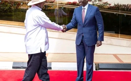 Museveni shuns handshake as he meets leaders in Nairobi visit