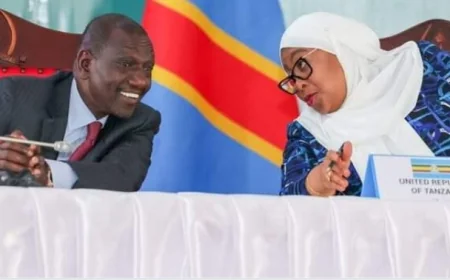 Senator Cherargei Asks Kenya to Ban Tanzanian Businesses, Street Beggars After Suluhu's Move