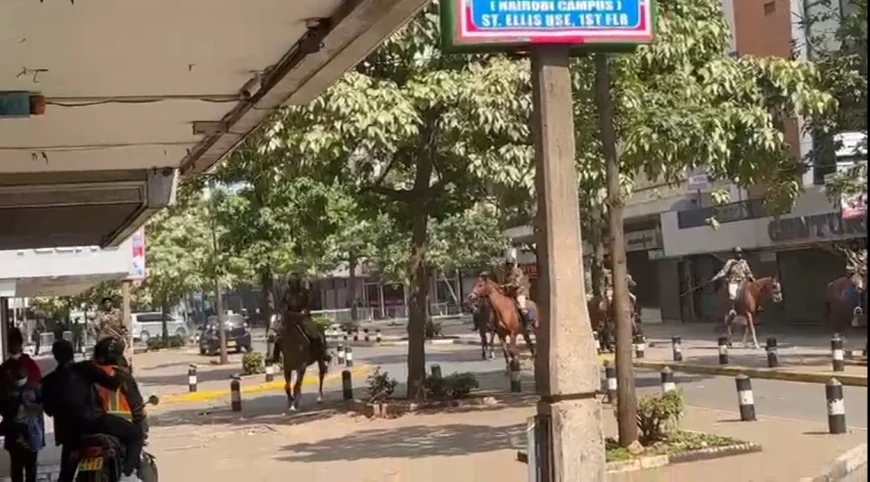 Security heightened in CBD as police intensify patrols on horses