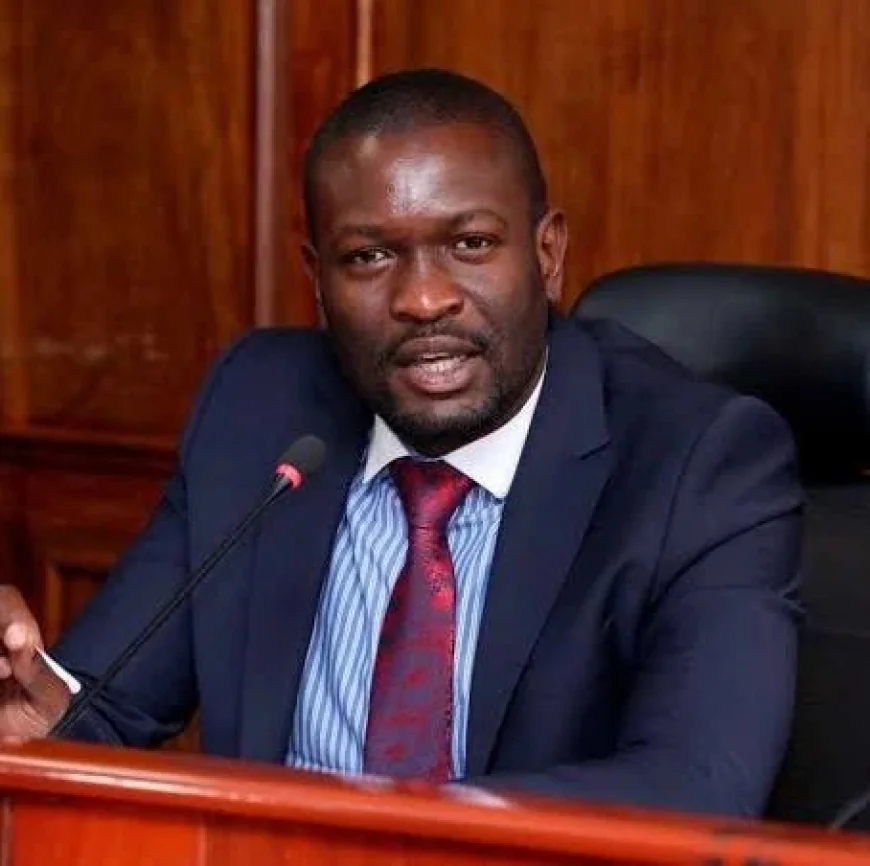 Sifuna: I will resign as party SG if ODM formally decides to back Ruto in 2027