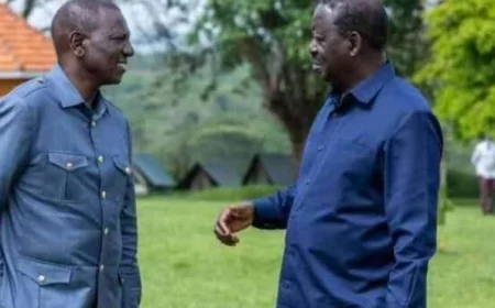 NADCO Implementation Committee Completes Initial Report, Names Javas Bigambo Vice Chair