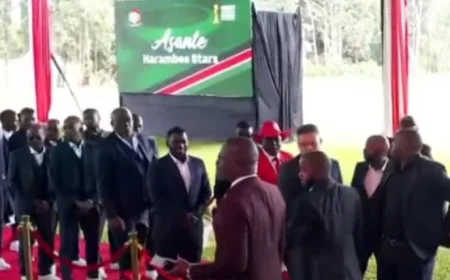 Red carpet reception: Harambee Stars to get presidential honour at State House