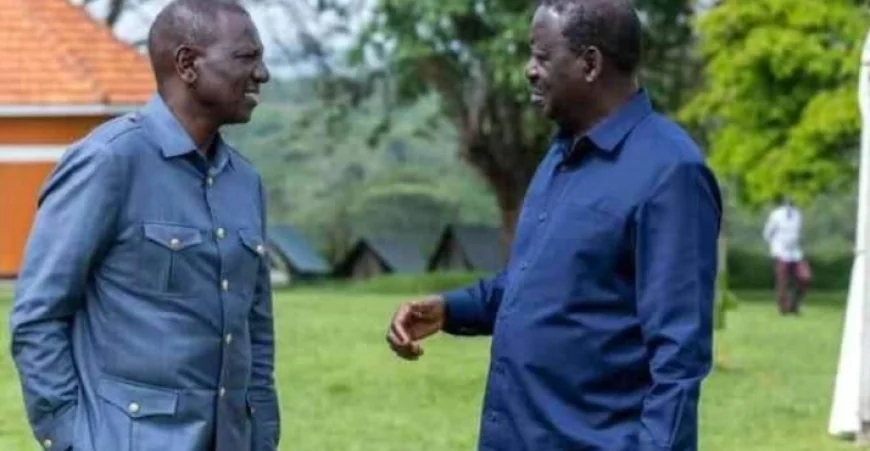 NADCO Implementation Committee Completes Initial Report, Names Javas Bigambo Vice Chair