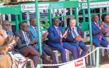 Ruto, Kagwe splash Sh1.3m on prize bulls at Nairobi trade fair auction