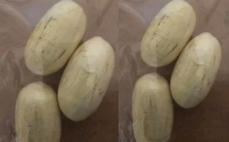 Woman arrested at JKIA for attempting to smuggle cocaine to Dubai