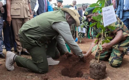 How October 10 Utamaduni Day was renamed Mazingira Day