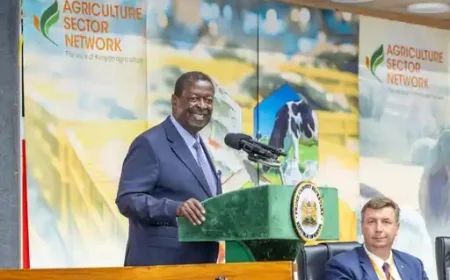 Mudavadi: Kenya must go digital to revolutionise Agriculture