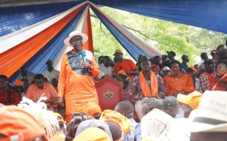 Oburu Oginga endorsed as ODM Party leader