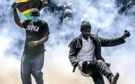 Mob stones police officer as Tanzania descends into poll chaos