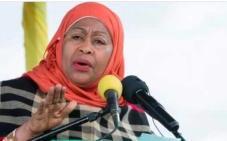 Suluhu Govt Warns Foreigners Against Joining Tanzanian Protests