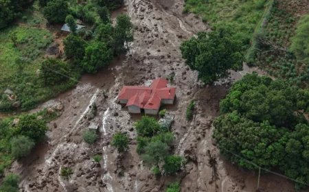 EXPLAINER: What to do when a mudslide occurs