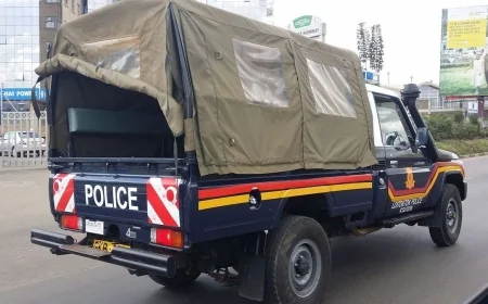 Housegirl vanishes with employer’s pistol, cash, title deeds in Kileleshwa, Nairobi