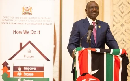 Ruto to Kenyans diaspora: Help me make Kenya a first world nation