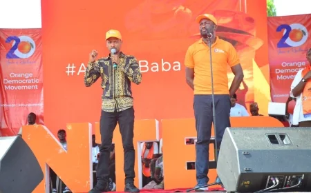 Babu Owino signals bid for ODM top seat, decries being snubbed