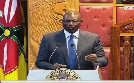 Ruto: Hustler Fund has reached 7 million Kenyans, but ‘credit alone is not enough’