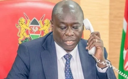 Gachagua campaigns for Panyako via phone call to Malava residents