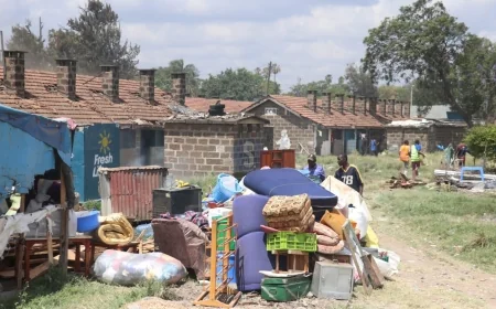 Court suspends Makongeni evictions, demolitions