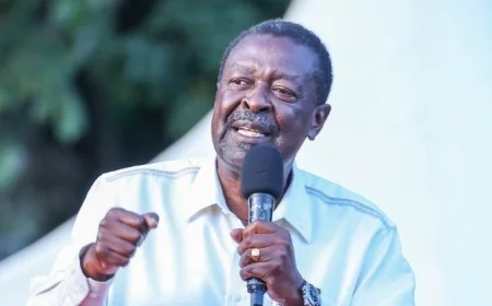 A promise kept: Ruto, Mudavadi appoints Malava UDA aspirants to diplomatic jobs