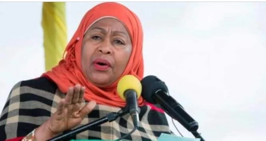 Suluhu Govt Warns Foreigners Against Joining Tanzanian Protests