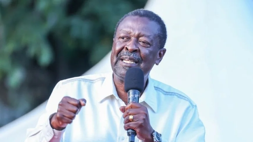 A promise kept: Ruto, Mudavadi appoints Malava UDA aspirants to diplomatic jobs